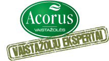 uab-acorus-calamus